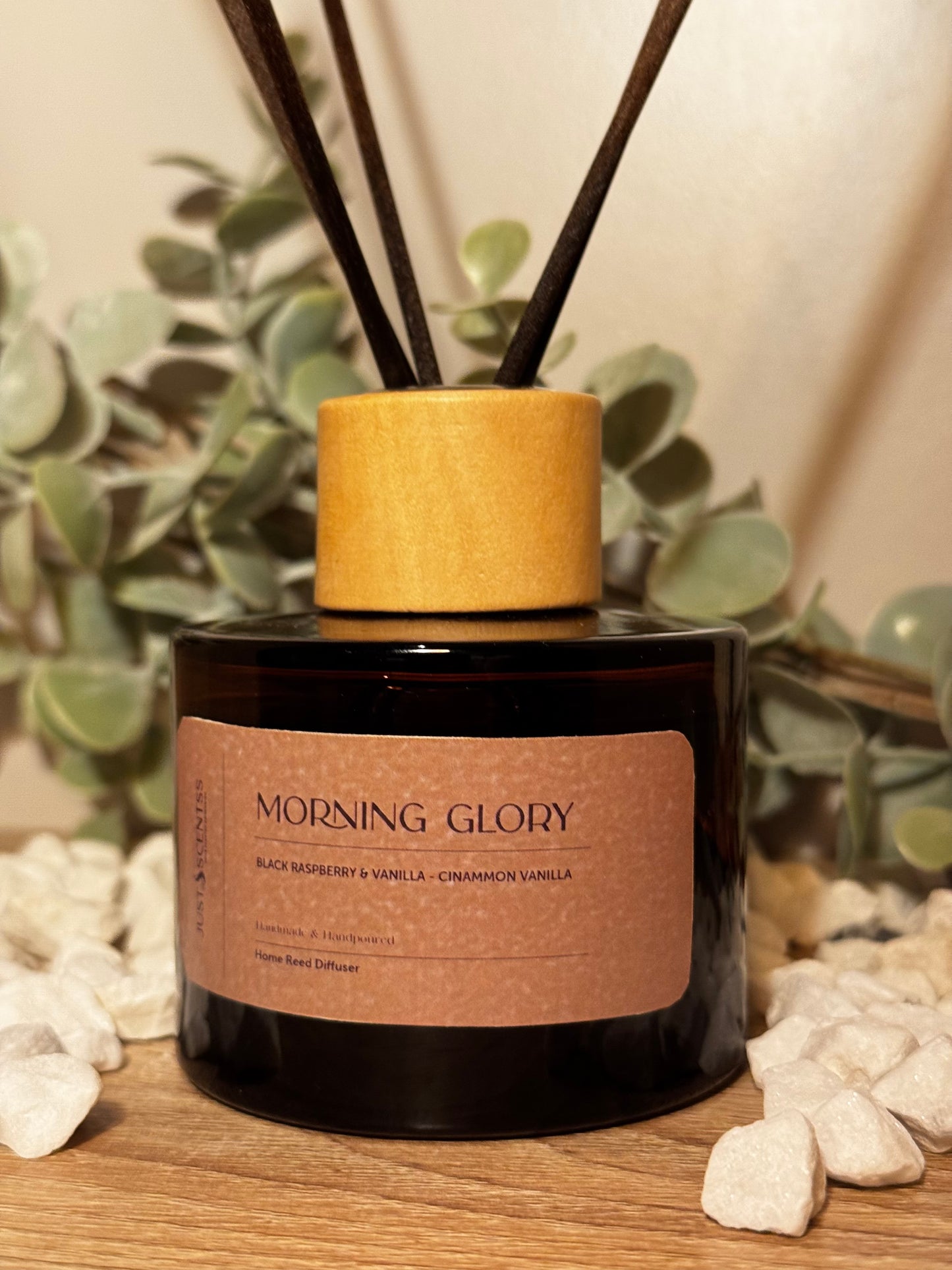 Morning Glory- Reed Diffuser
